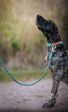 Load image into Gallery viewer, Horizon Rope Lead - Elixir