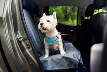 Load image into Gallery viewer, Henry Wag Dog Travel Harness