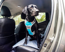 Load image into Gallery viewer, Henry Wag Dog Travel Harness