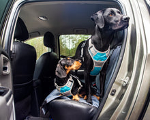 Load image into Gallery viewer, Henry Wag Dog Travel Harness