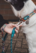 Load image into Gallery viewer, Horizon Rope Lead - Elixir