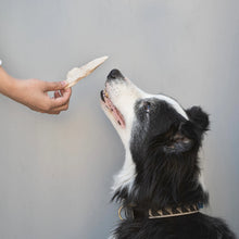 Load image into Gallery viewer, Waita Freeze Dried Duck Breast 40g