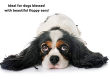 Load image into Gallery viewer, LUCAA+ Pet Probiotic Ear Care - 100ml Spray