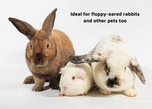 Load image into Gallery viewer, LUCAA+ Pet Probiotic Ear Care - 100ml Spray