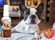 Load image into Gallery viewer, LUCAA+ Pet Probiotic Ear Care - 100ml Spray