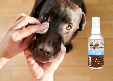 Load image into Gallery viewer, LUCAA+ Pet Probiotic Eye Care - 100ml Spray Improves Eye Comfort & Reduces Irritation & Tear Stains