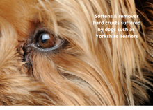 Load image into Gallery viewer, LUCAA+ Pet Probiotic Eye Care - 100ml Spray Improves Eye Comfort & Reduces Irritation & Tear Stains