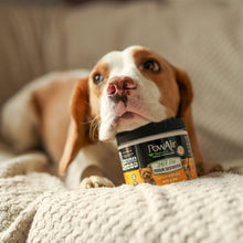 Load image into Gallery viewer, 24/7 Pet Odour Destroyer Gel 400g