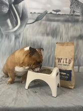 Load image into Gallery viewer, Fish - 80/20 Cold-pressed Dry Dog Food