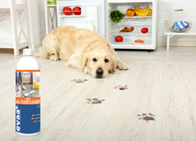 Load image into Gallery viewer, EVAA+ Probiotic Floor Cleaner Concentrate - 1 Litre Bottle