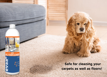 Load image into Gallery viewer, EVAA+ Probiotic Floor Cleaner Concentrate - 1 Litre Bottle