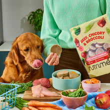 Load image into Gallery viewer, Nutriment Beef, Chicory & Broccoli Gently Cooked Medallions 800g