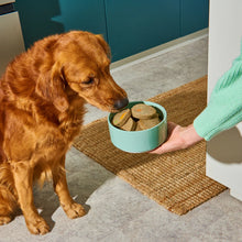 Load image into Gallery viewer, Nutriment Chicken, Chicory & Courgette Gently Cooked Medallions 800g