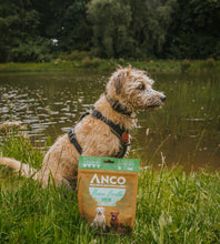 Load image into Gallery viewer, Anco Fish Bone Broth 120g