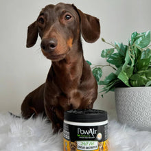 Load image into Gallery viewer, 24/7 Pet Odour Destroyer Gel 400g