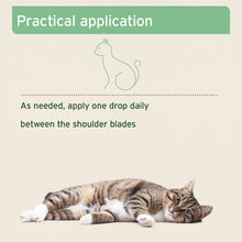 Load image into Gallery viewer, Ectoprotex Cat - 50 ml - Spot-On Tick and Flea Protection