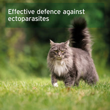 Load image into Gallery viewer, Ectoprotex Cat - 50 ml - Spot-On Tick and Flea Protection