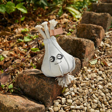 Load image into Gallery viewer, Gary the Garlic, Eco Toy