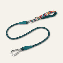 Load image into Gallery viewer, Horizon Rope Lead