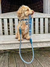 Load image into Gallery viewer, Horizon Rope Lead