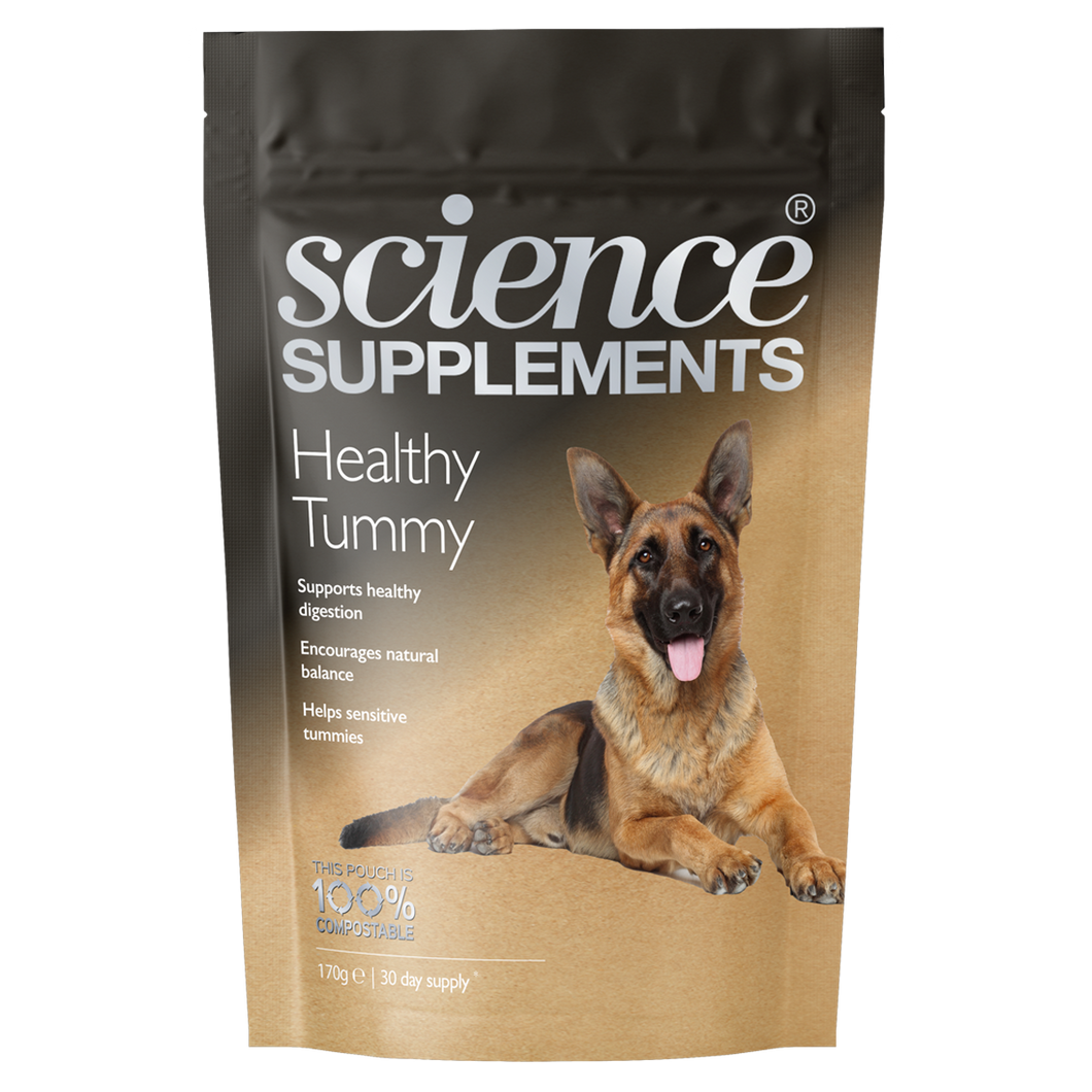 Healthy Tummy K9 | Dog Digestion Supplement