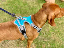 Load image into Gallery viewer, Henry Wag Dog Travel Harness