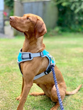 Load image into Gallery viewer, Henry Wag Dog Travel Harness