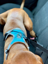 Load image into Gallery viewer, Henry Wag Dog Travel Harness