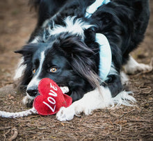 Load image into Gallery viewer, Heart shaped Eco Dog Toy (Heart strings)
