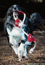 Load image into Gallery viewer, Heart shaped Eco Dog Toy (Heart strings)