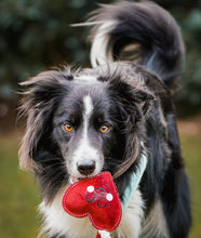 Load image into Gallery viewer, Heart shaped Eco Dog Toy (Heart strings)