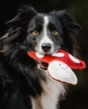 Load image into Gallery viewer, Marie the Mushroom shaped Eco Dog Toy