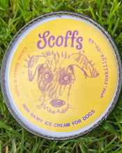 Load image into Gallery viewer, Scoffs Carrot Banana Apple Non Dairy Dog Ice Cream 120ml
