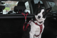 Load image into Gallery viewer, Adventure Dog Safety Seatbelt - Alpenglow -  DISCONTINUED  LINES - REDUCED TO CLEAR