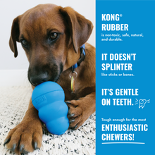 Load image into Gallery viewer, KONG PUPPY GOODIE BONE