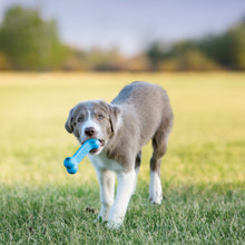 Load image into Gallery viewer, KONG PUPPY GOODIE BONE
