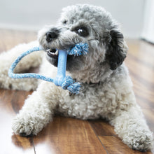 Load image into Gallery viewer, KONG PUPPY GOODIE BONE W/ROPE XS