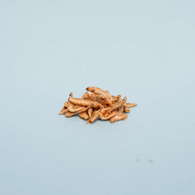 Load image into Gallery viewer, Waita Freeze-Dried Whole Krill 40g