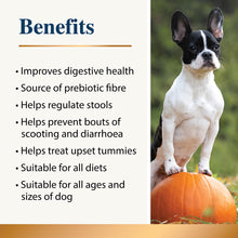 Load image into Gallery viewer, Karnlea Organic Pumpkin Powder for Dogs 200g