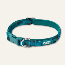 Load image into Gallery viewer, Adventure Collar 2.0 - Lagoon