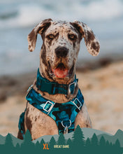 Load image into Gallery viewer, Adventure Collar 2.0 - Lagoon
