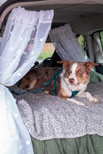 Load image into Gallery viewer, Adventure Dog Safety Seatbelt 2.0 - Lagoon