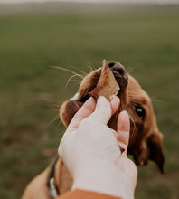 Load image into Gallery viewer, Anco Naturals Lamb Hooves x 10 pieces