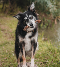 Load image into Gallery viewer, Anco Naturals Lamb Tubes