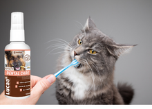 Load image into Gallery viewer, LUCAA+ Pet Probiotic Dental Care - 100ml Spray