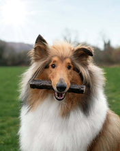 Load image into Gallery viewer, Skipper's Wolf Fish Throw Sticks