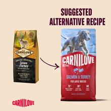 Load image into Gallery viewer, NEW ACTIVE SALMON & TURKEY DOG FOOD FOR LARGE BREEDS