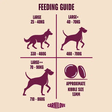 Load image into Gallery viewer, NEW ACTIVE SALMON & TURKEY DOG FOOD FOR LARGE BREEDS