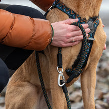 Load image into Gallery viewer, GO-B-FLEXTRA | Multifunctional Rope Lead | Black/Orange