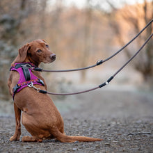 Load image into Gallery viewer, GO-B-FLEXTRA | Multifunctional Rope Lead | Green/Pink